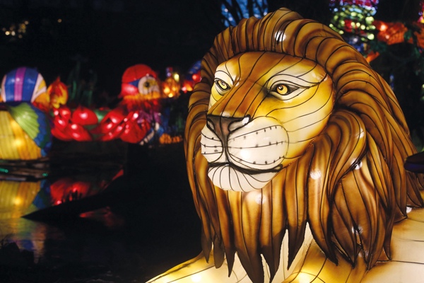 Magischen Lichterwelten