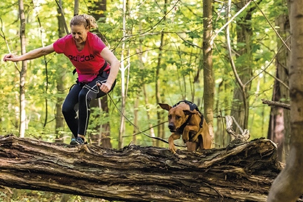 Adventure Dog Race