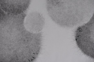 Grafik aus der Ausstellung