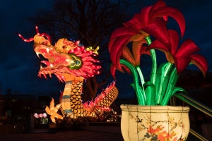 Magische Lichterwelten 2018 - Der Drache