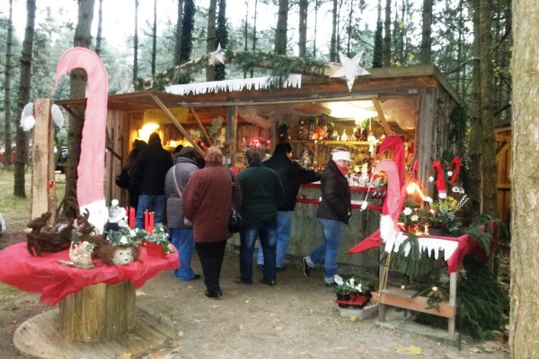 Möllensdorfer Waldweihnachtsmarkt