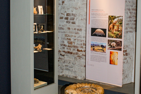 Museum für Stadtgeschichte (Zeughaus)