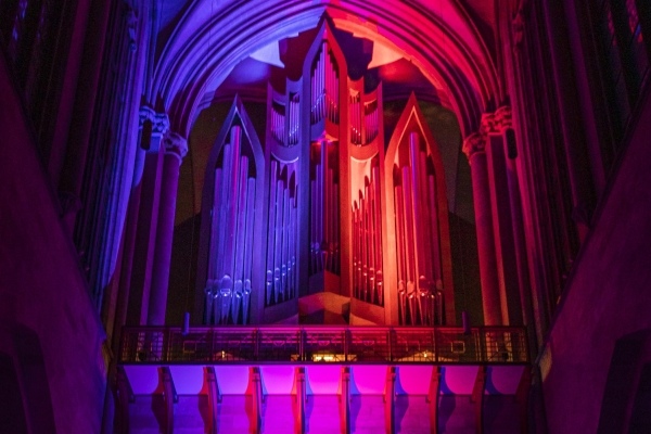 Die Schuke-Orgel