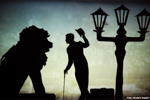 Amazing Shadows
